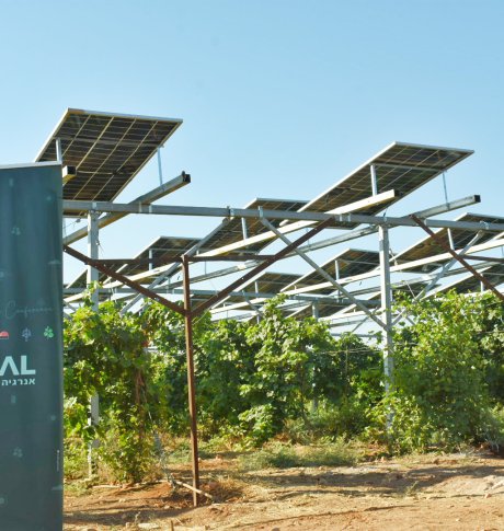 פרויקט חקלאות סולארית של דוראל במעלה גלבוע