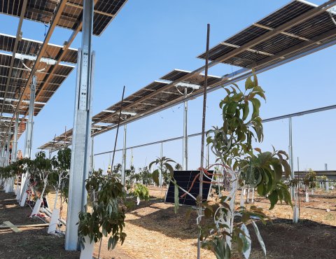 פרויקט חקלאות סולארית של דוראל בקיבוץ רבדים