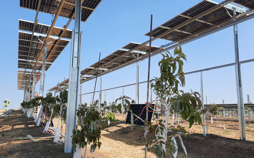 פרויקט חקלאות סולארית של דוראל בקיבוץ רבדים