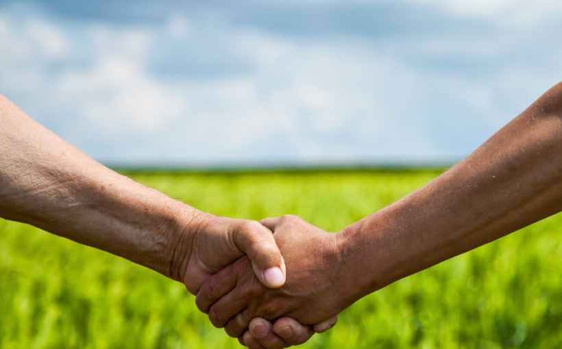 A handshake on a green field
